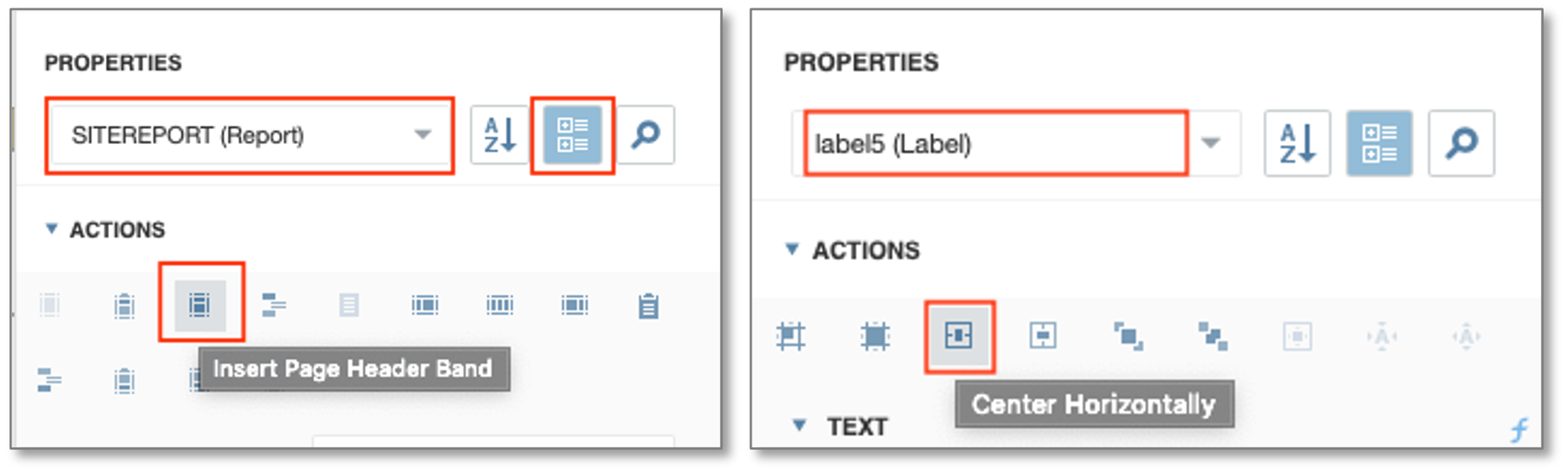20ReportAndLabelActionProperties